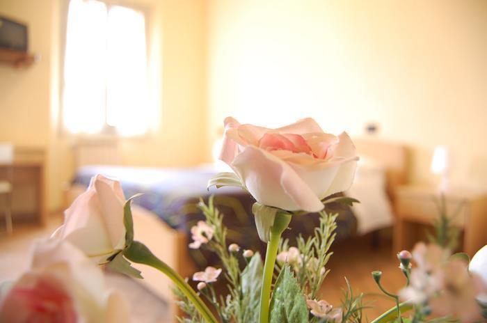 ホテル Relais Stella シーニャ エクステリア 写真